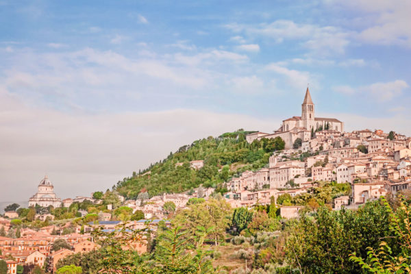 Todi