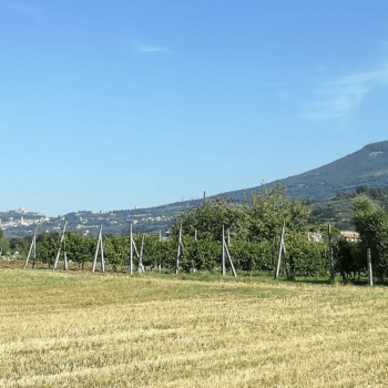 Appartamenti casa Fiorelli