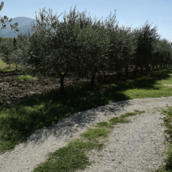 Appartamenti casa Fiorelli