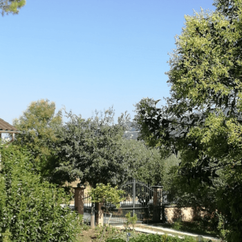 Appartamenti casa Fiorelli