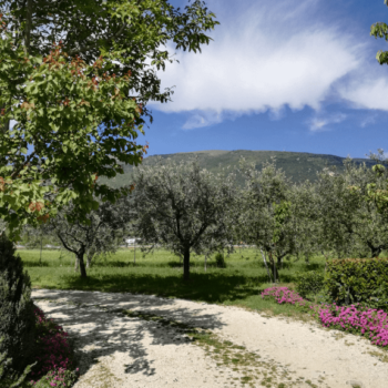 Appartamenti casa Fiorelli